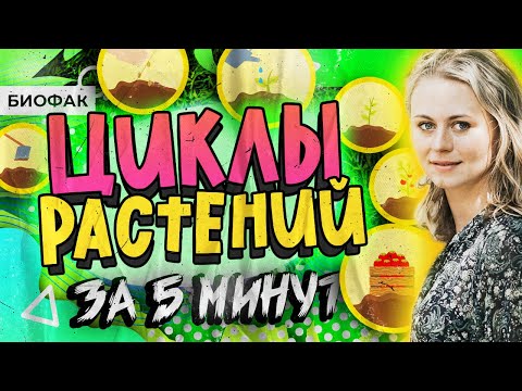 Видео: Жизненные циклы растений за 5 минут