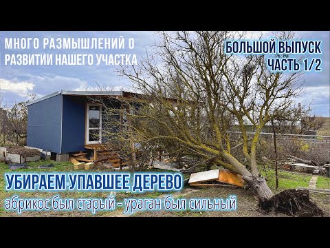 Видео: Убираем поваленное дерево, кайфуем, размышляем о планах на наш дачный участок