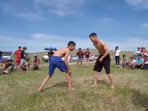 Видео: Батомункын обоогай наадан. Бүхэ барилдаан. Часть 1