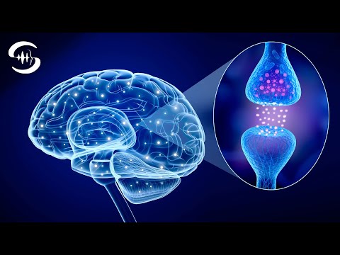 Видео: Anti Aging Frequency - Производство стволовых клеток - Anti Aging Music ♫95