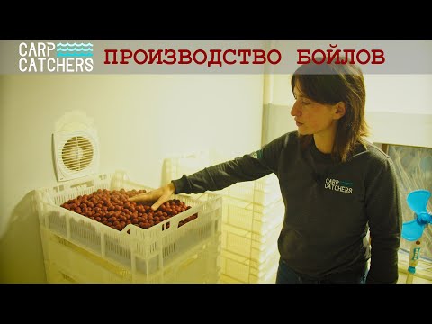 Видео: Как мы делаем бойлы для рыбалки на карпа. Производство Carp Catchers 2019