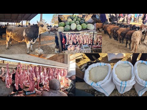 Видео: МОЛБОЗОРИ ГУЛИСТОН. 9 ноябрь 25 с. Н КАЛХОЗОБОД