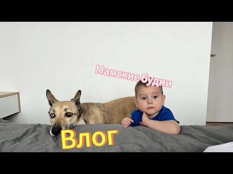 Видео: Влог: предновогодняя неделя| мои утренние ритуалы☀️| готовим картошку по-деревенски