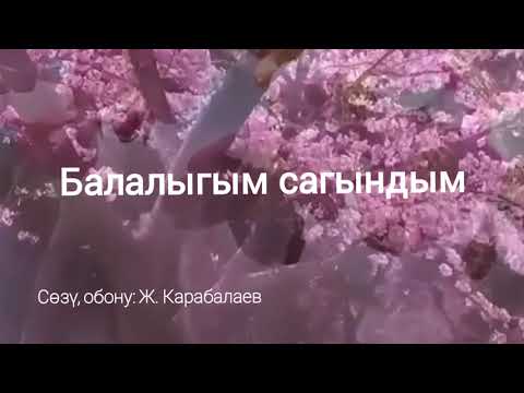 Видео: "Балалыгым сагындым." Балалыкты эске салган ыр
