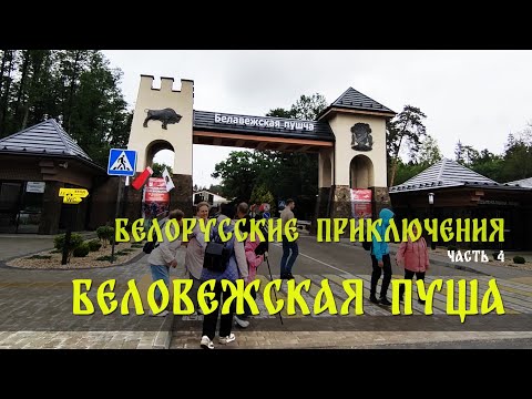 Видео: 9 сентября 2025 г.