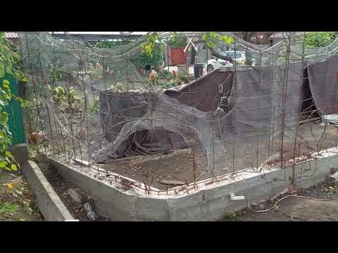 Видео: Как  крепить сетку на каркас забора АРТ Бетон