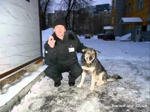 Видео: Бутурлиновская братва