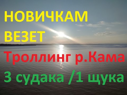 Видео: НОВИЧКАМ ВЕЗЕТ  ТРОЛЛИНГ НА КАМЕ