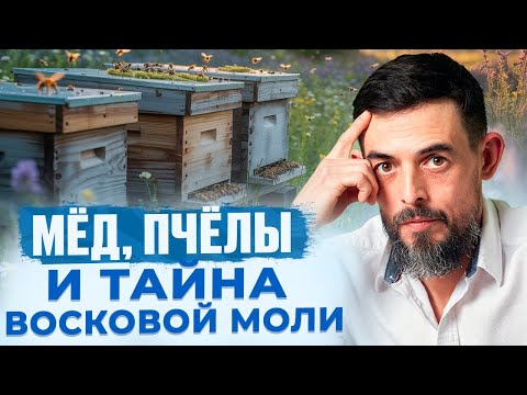 Видео: На пасеке: мёд, восковая моль и древняя биотехнология жизни