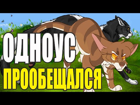 Видео: Звездный Луч не доверял Чернохвату? КОТЫ ВОИТЕЛИ.  Ответы на Интерактив "ДА-НЕТ" №6.