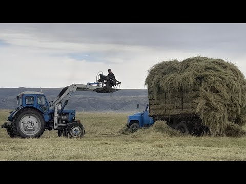 Видео: Погрузка сено с самодельным куном Т-40.