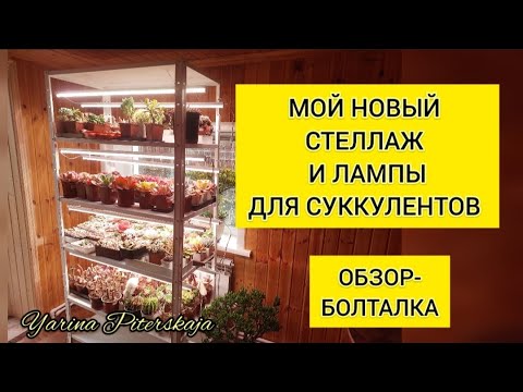 Видео: Мой новый стеллаж и лампы для суккулентов.