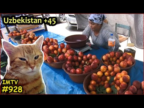 Видео: Чилля в Узбекистане Жара как в Индии? Кошка Рокси в Фергане