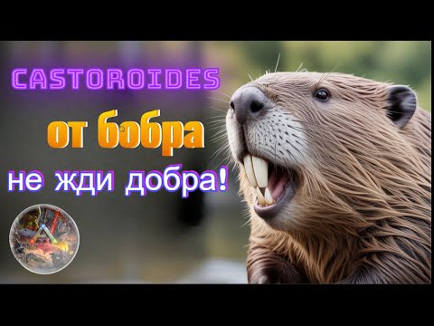 Видео: 🦖Ark Survival Evolved🦖Новое выживание Ragnarok #11 от Бобра не жди Добра!
