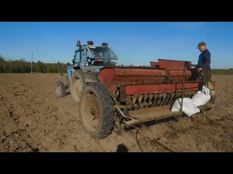 Видео: Засеяли овсом!Сеялка СЗТ-3.6. Посмотрим что получится!продолжение весенней обработки поля!