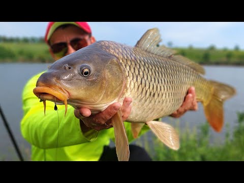 Видео: Руки дрожат, пальцы побиты. Трофейная рыбалка на удочку