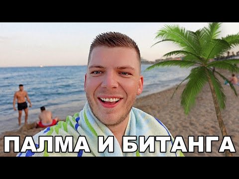 Видео: ПАЛМА И БИТАНГА... | BCN VLOG #3
