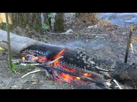 Видео: Одиночный поход с ночевкой на Людиновское озеро. " Восстановление сил" часть 2 .