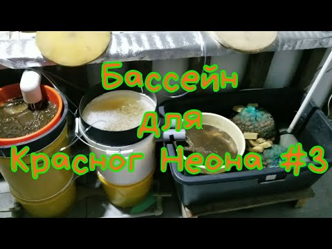Видео: Бассейн для Красног Неона #3 Результаты конкурса!
