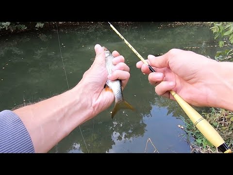 Видео: Микро-Поплавок.Танаго. Ловля На Микро-Речке.#tanagofishing #рыбалка #fishing