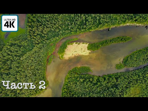 Видео: Путешествие о котором мечтает каждый рыбак (ч.2) | зашли в начало горной реки, ночлег, ждем погоды