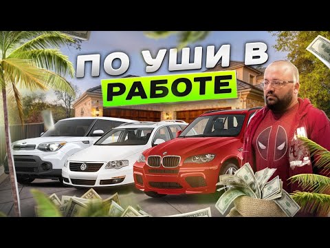 Видео: Америка работы как всегда по уши 👂