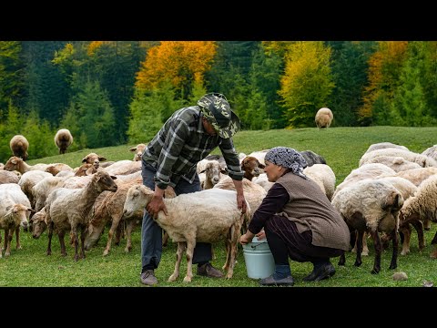 Видео: Запекание целого ягнёнка с булгуром в бочке 🔥