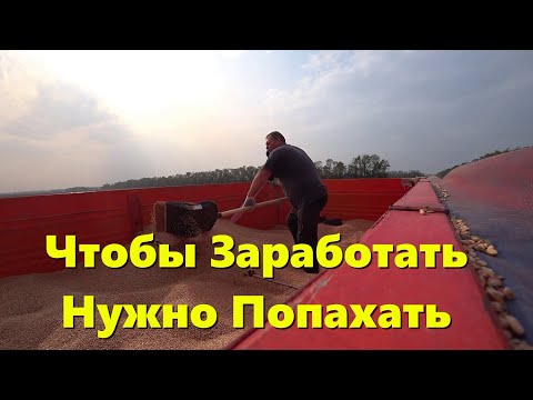 Видео: Сеем Озимую Пшеницу прямо в "Сухари"/ Первый день всегда такой / Посевная Компания 2023-2024