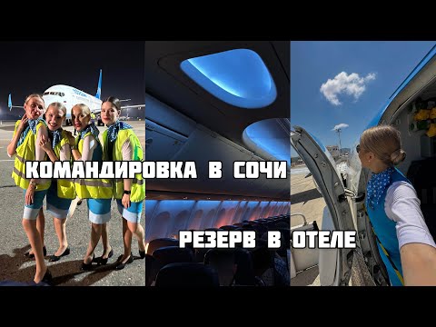 Видео: vlog стюардессы: командировка в сочи, резерв в отеле double tree, новый чемодан