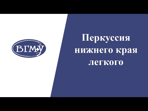 Видео: Перкуссия нижнего края легкого