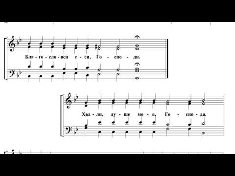 Видео: Антифоны 1,2 Тумаркин Бас