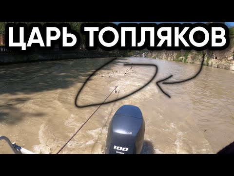 Видео: Топляк всех топляков. Течение прибило чудо.