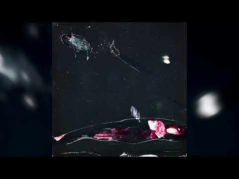 Видео: Хрупкие Горы - Дисфория (Single, 2025)