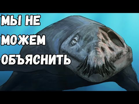 Видео: Доисторические Животные, Сохранившиеся Так Хорошо, Что Выглядят Будто Умерли Вчера