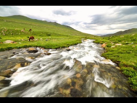 Видео: Орк. Изгрев Микс 2019 - 2