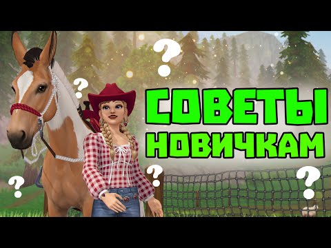 Видео: Что нужно знать новичку в Star Stable Online?