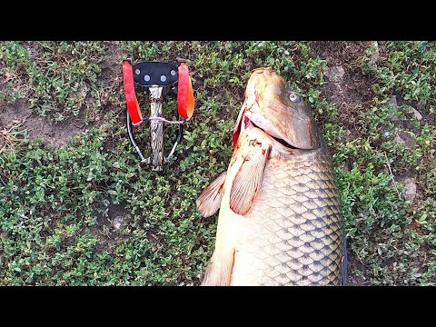 Видео: Борьба на водоёме(Рыбалка с рогаткой)