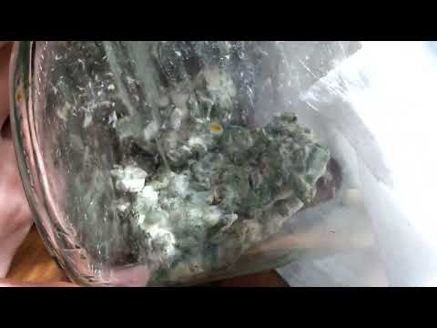 Видео: Дикая триходерма с доски