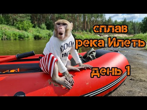 Видео: Сплав по реке Илеть с обезьяной. День 1