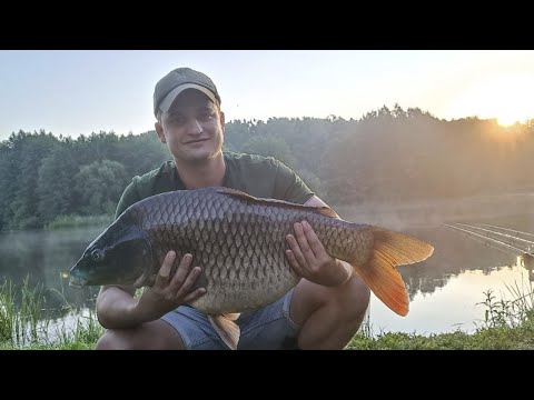 Видео: СУТОЧНАЯ РЫБАЛКА В ЛИПЕЦКОЙ ОБЛАСТИ, УЛУЧШАЕМ РЕЗУЛЬТАТЫ, НОВЫЙ ТРОФЕЙ (Рыбалка 2022)