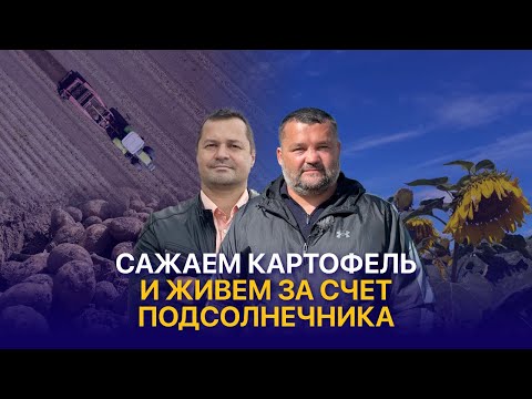 Видео: Отказываемся от пшеницы, сеем подсолнечник и развиваем картофель — ТОО Юнвест Агро