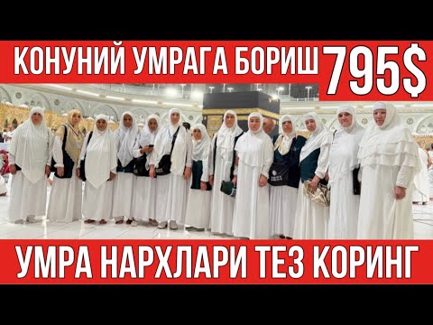Видео: УМРА НАРХЛАРИ АРЗОНЛАДИ ТЕЗ КОРИНГ, ҚОНУНИЙ УМРАГА БОРИШ 795$ ДАН 