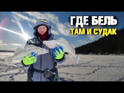 Видео: Судак дерзко щелкал из стаи бели. Поиск с практиком 8