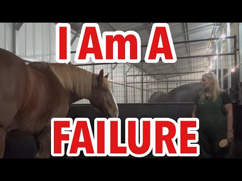 Видео: Роман и Шторм: Уход за ранами наших лошадей: