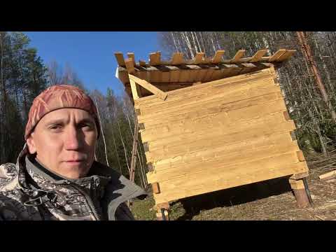 Видео: Процесс стройки таёжной избушки #охота #hunting #тайга