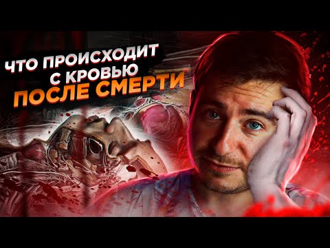 Видео: Что происходит с кровью после биологической смерти человека? | Отвечаю на ваши комментарии #23