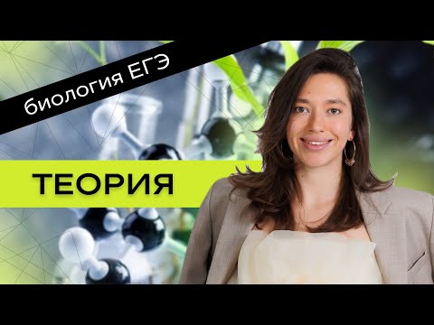 Видео: Биокурс ЕГЭ: Митоз и Мейоз