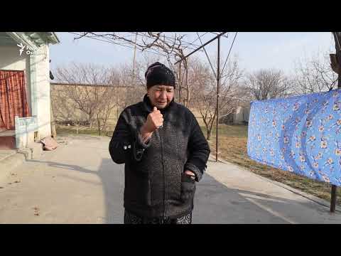 Видео: “Бачаҳоямро накушед, гуфтааст”. Ҷузъиёти қатлҳо дар Конибодом