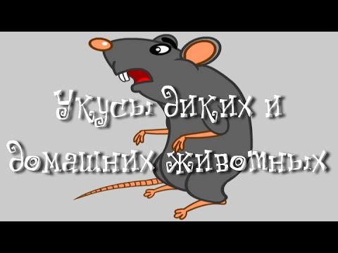 Видео: Укусы диких и домашних животных - Неотложная помощь доктора Комаровского