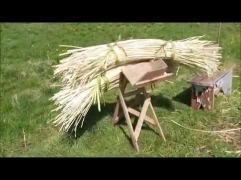 Видео: Вести с плантации май 2020